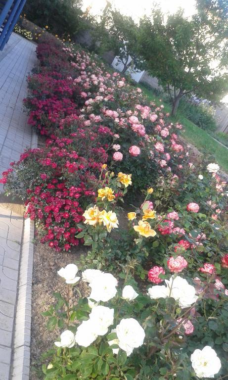 Amir Hotel คาราโคล ภายนอก รูปภาพ